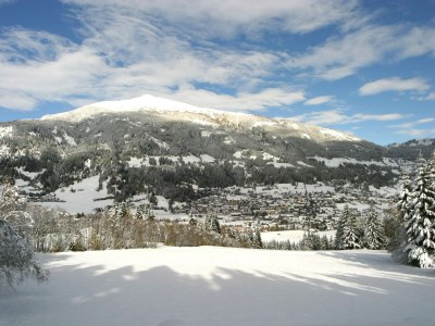 Apartment Wohnung in Lungau nahe Skilift - Environment photo 17
