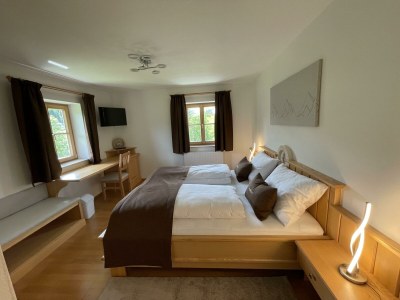 Holiday room DZ Schmidhorn in Faistenau - Holiday room