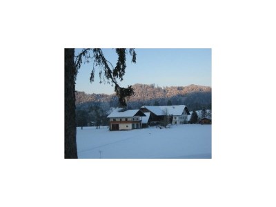 Apartment Ferienhaus Hofbauer - Outdoor photo 24