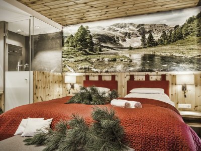 Holiday room Zirbenholz Doppelzimmer mit Balkon - Features photo 48