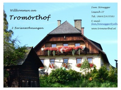 Apartment Gummablick in Lessach - Apartment
