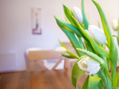 Apartment Appartement Katschberg Nr. 4 - Features photo 24
