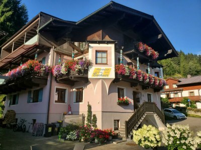 Apartment Schmittenhöhe/2 Schlafr./DuscheWC,Balkon in Zell am See - Apartment