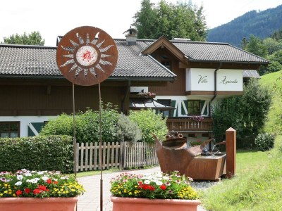 Apartment Heckenrose 2/1 Schlafr./Dusche od.Bad,WC in Kaprun - Apartment