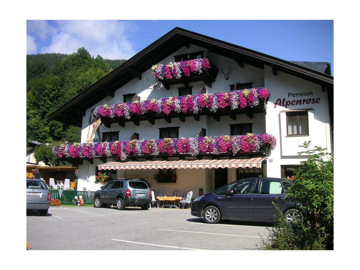 Holiday room Einzelzimmer