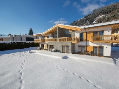 Apartment Alpine Comfort in Zell am See - Apartment