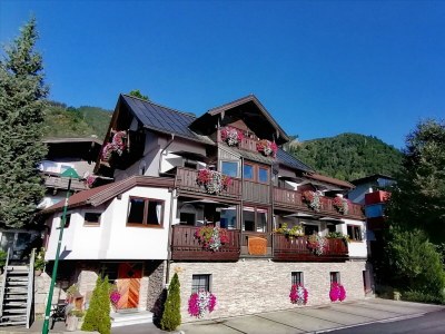 Apartment Appartement/Fewo, Dusche, WC, Balkon in Zell am See - Apartment