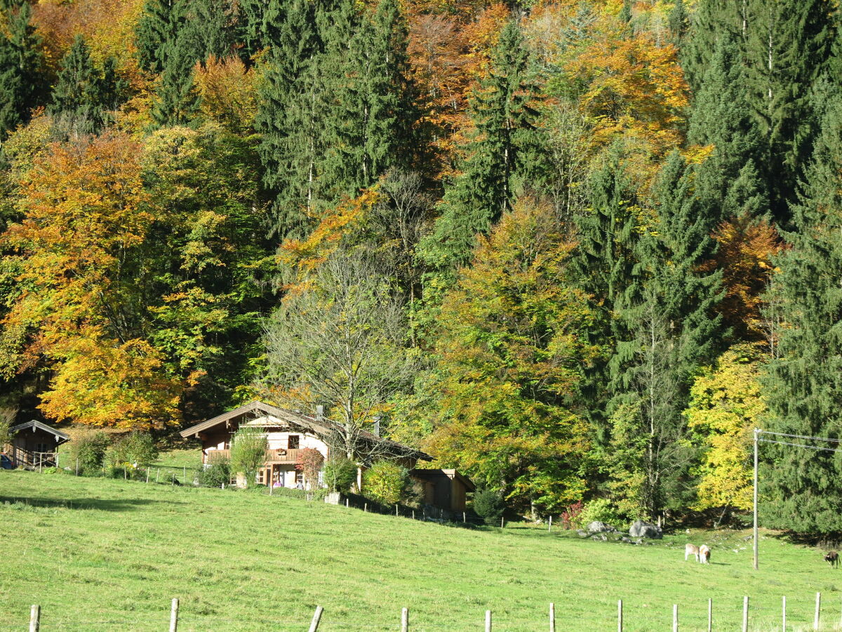 Holiday apartment Schossbach im Haus Waldwinkel - Outdoor photo 3