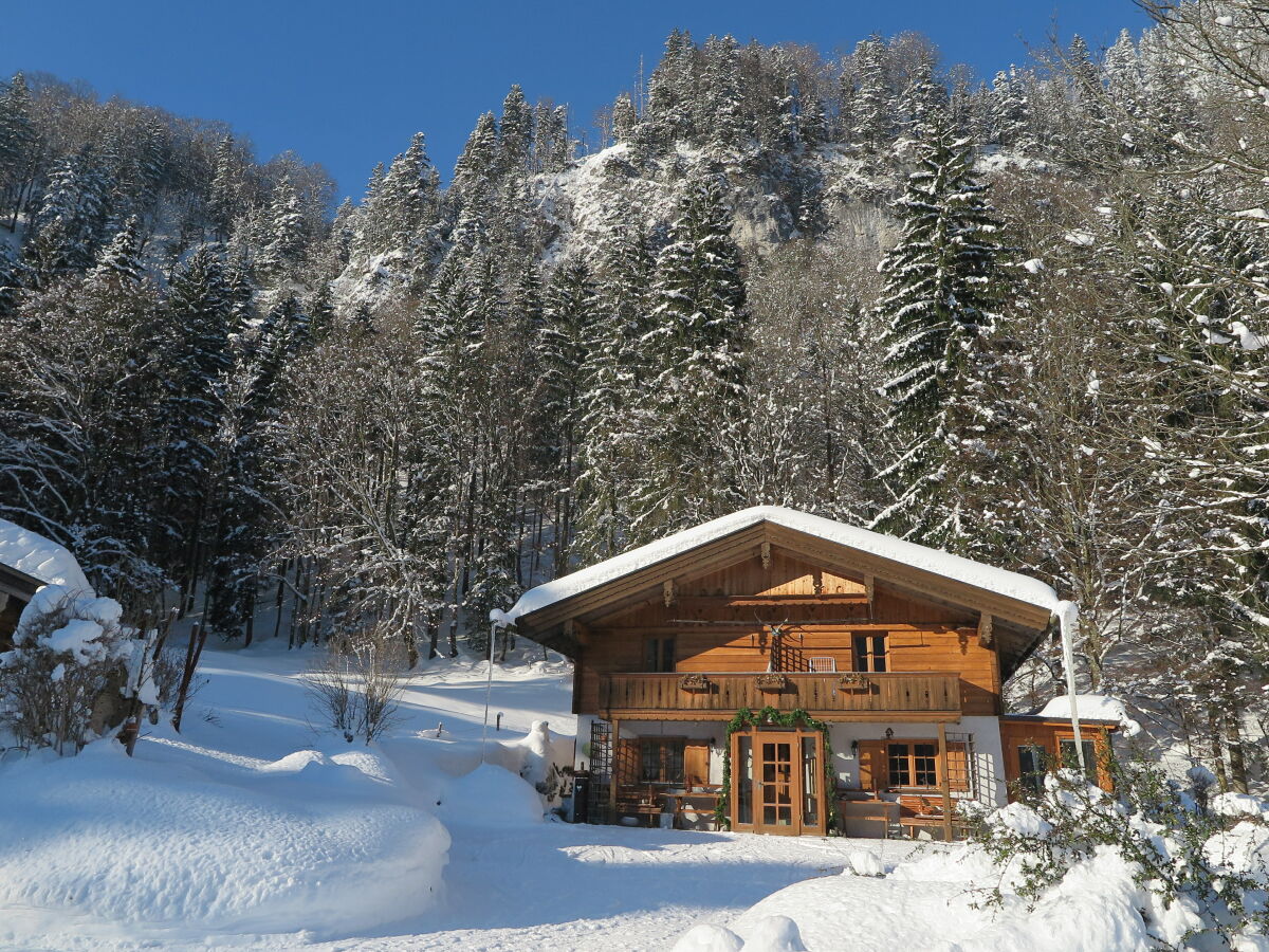 Holiday apartment Schossbach im Haus Waldwinkel - Outdoor photo 4