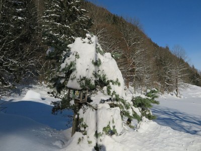 Holiday apartment Schossbach im Haus Waldwinkel - Environment photo 37