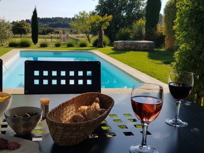 Holiday house Mazet des Moineaux in St. Saturnin les Apt - Holiday house