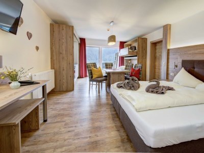 Holiday room Hotelappartement Jaga Alm Sommer in Zell am See - Holiday room