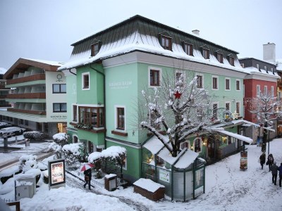 Apartment Apartment/1 Schlafraum/Dusche od. Bad,WC in Zell am See - Apartment