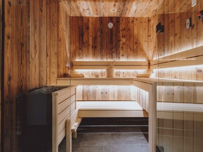 Apartment Gletscher oder Berg Spa Chalet - Features photo 53
