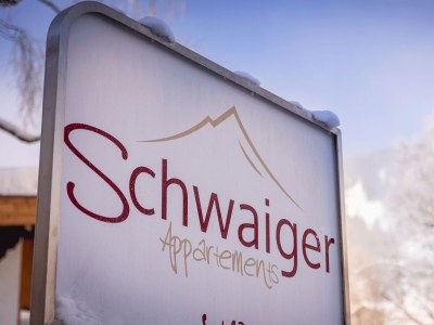 Apartment Schmittenblick - Outdoor photo 8