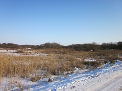 Bungalow Préviniareweg 20-22-24 - Environment photo 19