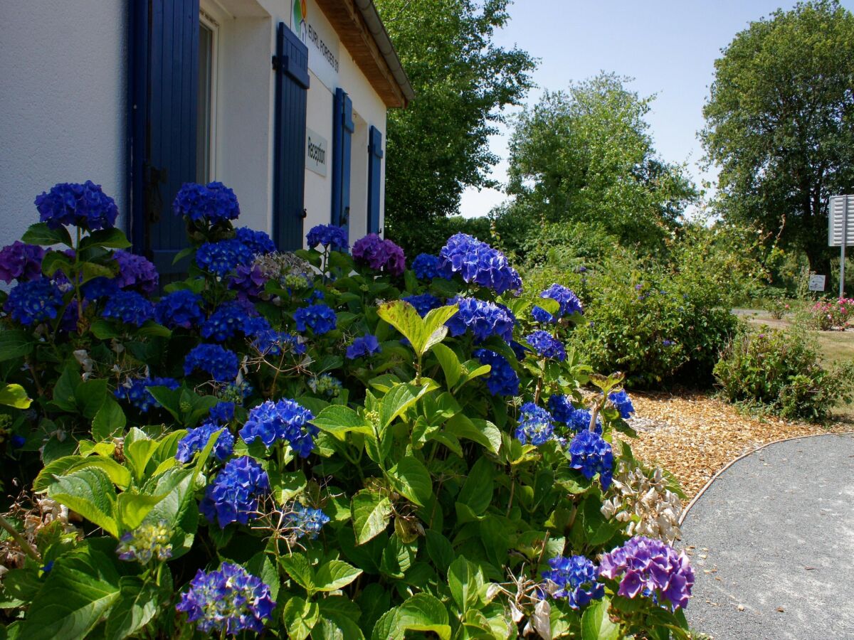 Holiday house Villa in Les Forges with Golf & Pool Access - Outdoor photo 2