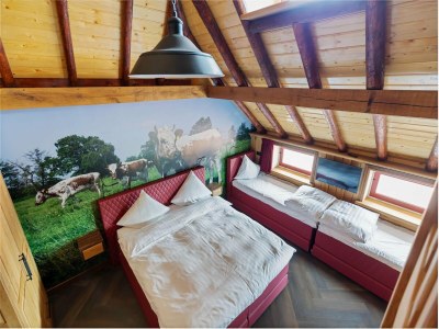 Holiday house Waldhaus in Friesland mit Sauna - Features photo 15
