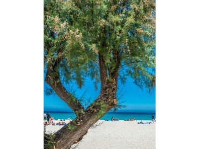 Holiday house Villa Liberty sul mare - Camera Magenta - CAV/CM - Outdoor photo 10