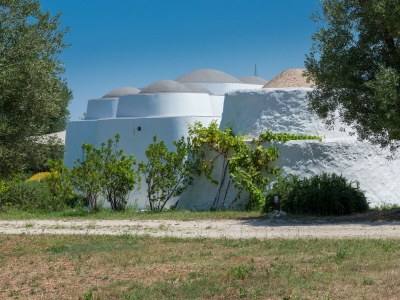 Holiday house Dimora Il Calaprico by Wonderful Italy - Outdoor photo 9