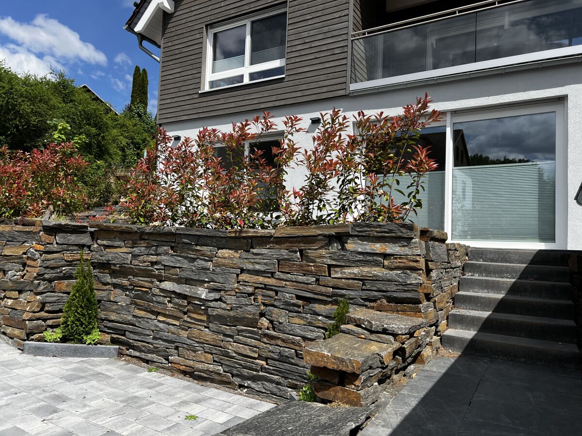 Holiday apartment "Weltwald-Harz II” holiday apartment/home - Outdoor photo 2