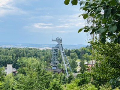 Holiday apartment "Weltwald-Harz II” holiday apartment/home - Environment photo 30