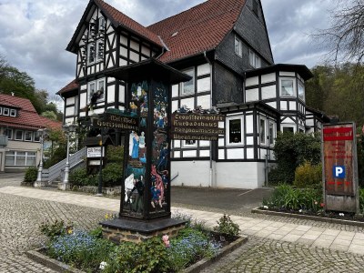 Holiday apartment "Weltwald-Harz II” holiday apartment/home - Environment photo 33