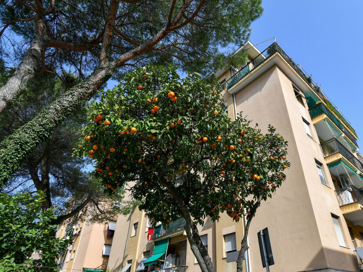 Apartment Una finestra su Villa Durazzo - Outdoor photo 2