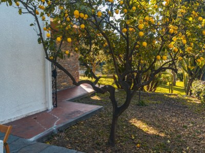 Apartment Lemon Apartment with Garden and Sea View - Environment photo 22