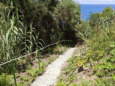 Villa Villa La Fenice with Private Access to the Sea - Outdoor photo 5