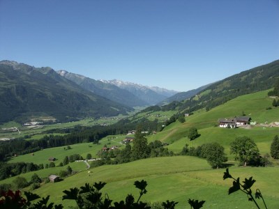 Holiday apartment On the organic farm Stallfeld - Environment photo 16