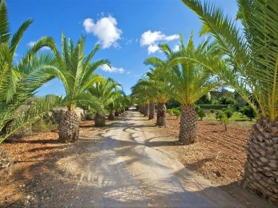 Villa Villa near Cala Tropicana with Pool - Outdoor photo 10