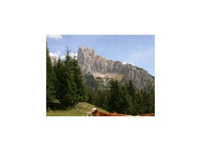 Apartment Ferienwohnung Donnerkogel - Outdoor photo 26