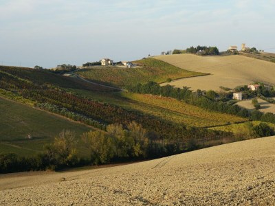 Holiday house Farmhouse Tent in Marche near Adriatic Sea - Environment photo 20