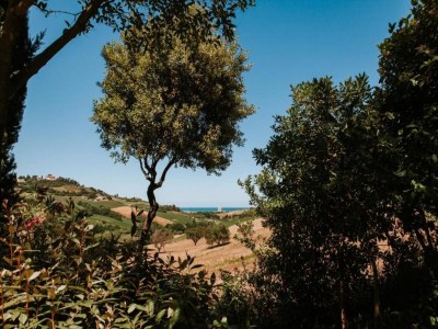 Holiday house Farmhouse Tent in Marche near Adriatic Sea - Environment photo 25