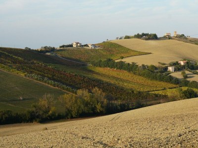 Apartment Bauernhaus in Marche mit Pool am Meer - Environment photo 21