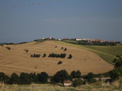Apartment Bauernhaus in Marche mit Pool am Meer - Environment photo 26