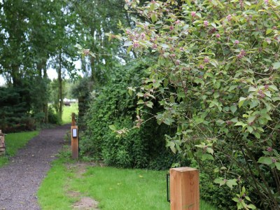 Holiday house Holiday Home near Giethoorn Venice of the North - Environment photo 30