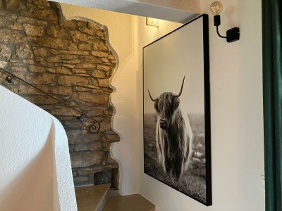 Holiday house Villa Ana - Features photo 13