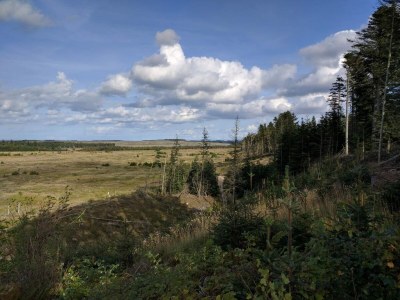 Holiday house 4 person holiday home in Thisted-By Traum - Outdoor photo 10