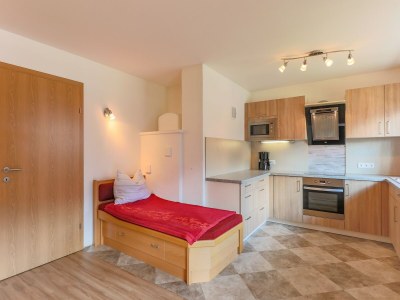 Apartment Chalet in Bramberg near Ski Slopes - Features photo 11