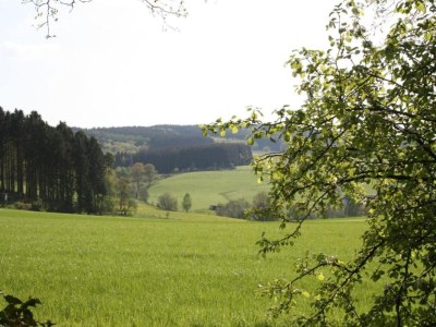 Apartment schöne Ferienwohnung im Sauerland - Environment photo 31