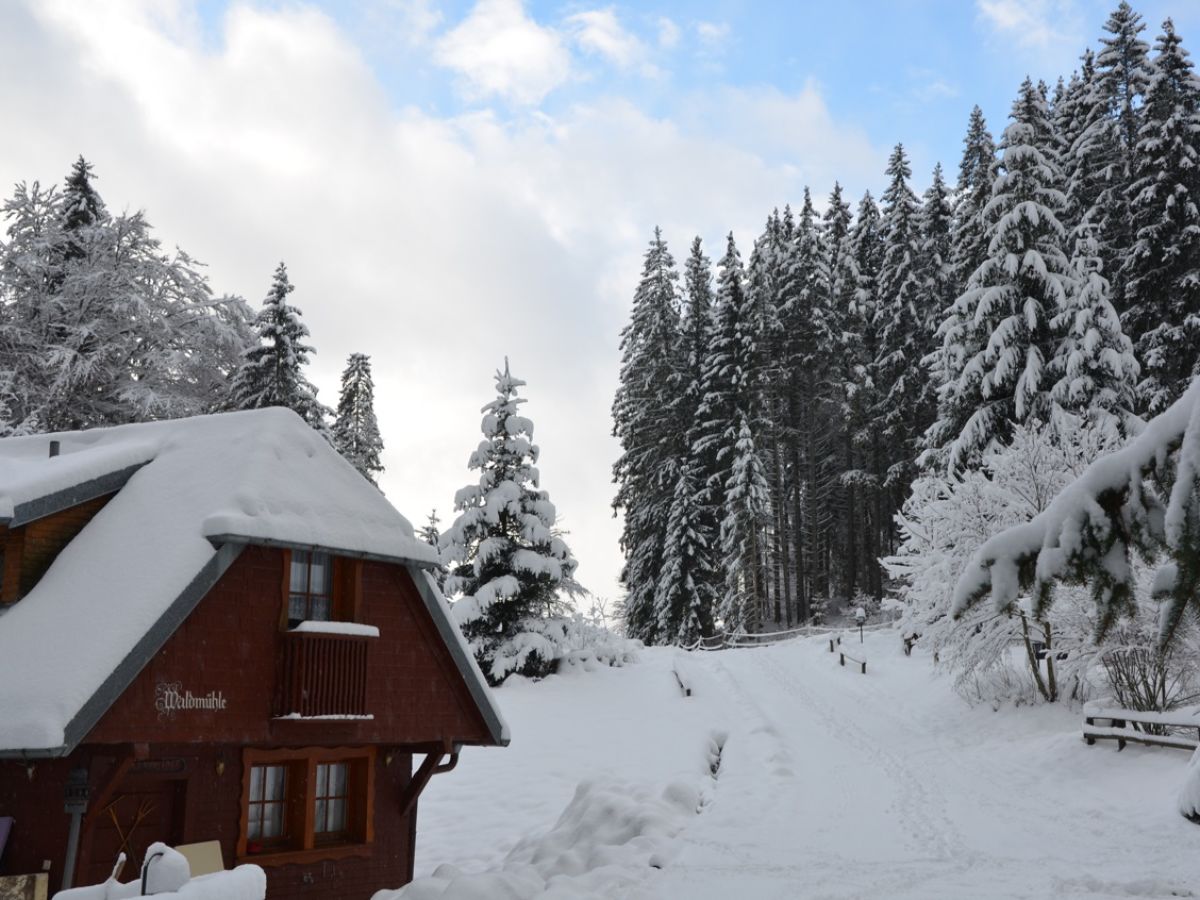 Holiday house "Forestmill" at residential park Weiherhof at lake Titisee - Outdoor photo 2