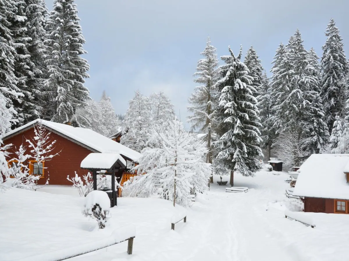 Holiday house Schwedenhaus at residential park Weiherhof at lake Titisee - Outdoor photo 3