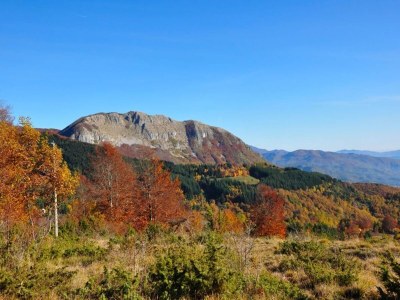 Holiday house Castiglione di Garfagnana Haven - Environment photo 38