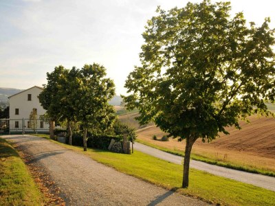 Villa Wohnung am See mit Gartenblick - Outdoor photo 10
