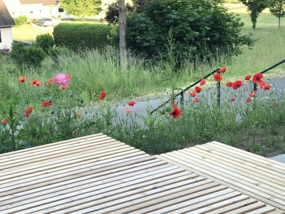 Apartment eifelhausaufzeit, Chalet mit Sauna, seenah - Outdoor photo 21