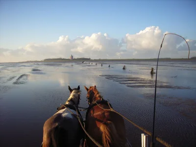 Holiday apartment H&P in Cuxhaven - Environment photo 18