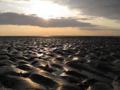 Holiday apartment H&P in Cuxhaven - Environment photo 10