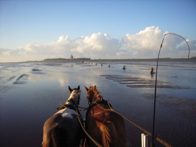 Holiday apartment H&P in Cuxhaven - Environment photo 15